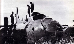 Forget me not: Dutch citizens honor allied airmen