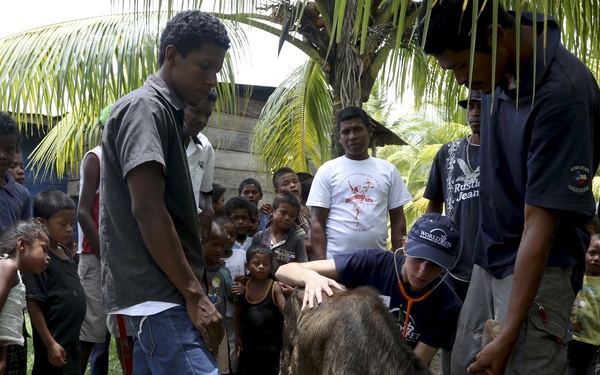 Continuing Promise2015