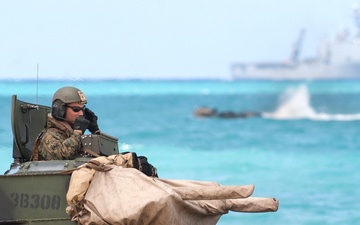Partner nations observe amphibious capabilities with US armed forces