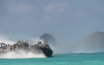 Partner nations observe amphibious capabilities with U.S. armed forces
