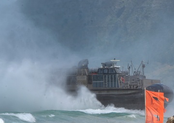 Partner nations observe amphibious capabilities with US armed forces