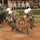 A riot control demonstration or training exercise is being conducted before a seated audience of military personnel in camouflage uniforms. Personnel in desert camouflage uniforms, white helmets, and riot shields are performing a simulated detainee extraction or crowd control maneuver. Scattered plastic bottles on the ground suggest a simulated protest scenario.