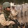 A heavily equipped soldier stands in the foreground wearing desert camouflage, a green helmet marked 'KLA-14P', tactical vest, shemagh scarf, and sunglasses while carrying an assault rifle with optics. In the background, a line of personnel holding transparent riot shields is visible, along with other military personnel in similar attire. The scene appears to depict a military training exercise or crowd control operation.