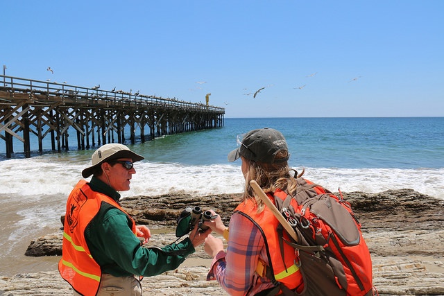 Biologists survey oil impact from Refugio Beach Oil Spill