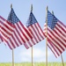 American Flags horizontal