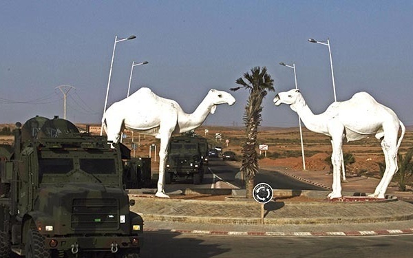 Exercise African Lion 15