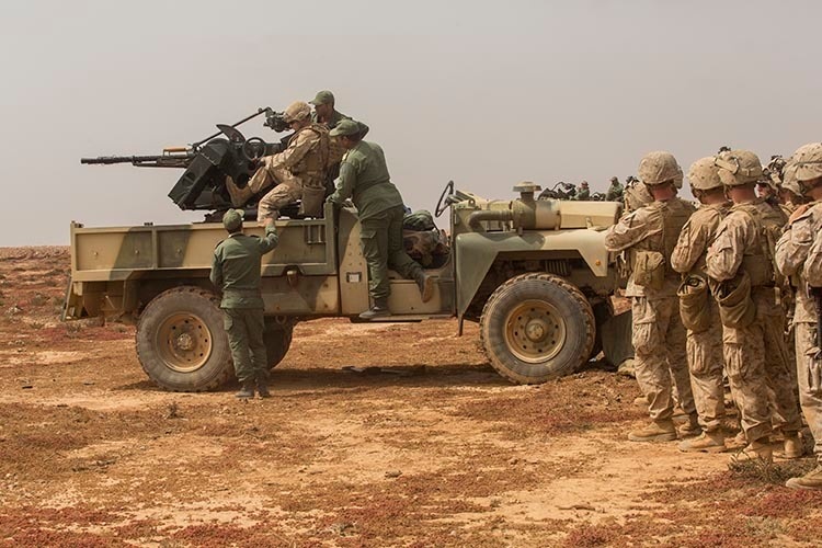 Exercise African Lion 15