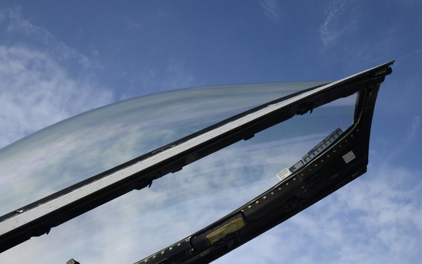 Buzzards kick off ACE 15