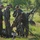 Four soldiers in Polish military camouflage uniforms are gathered around what appears to be a mortar or light artillery piece in an outdoor field setting. The soldiers are actively working on or inspecting the weapon system, with one soldier closely examining the sighting mechanism. The setting appears to be a training exercise in a grassy area with trees in the background.