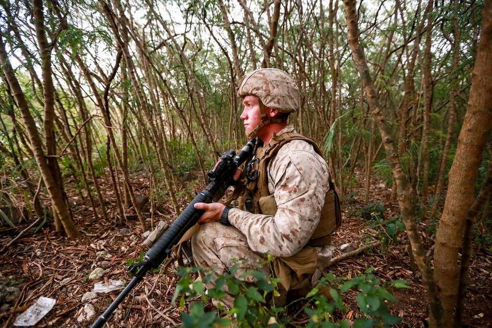 Welcome to the Jungle | Marines train for jungle warfare