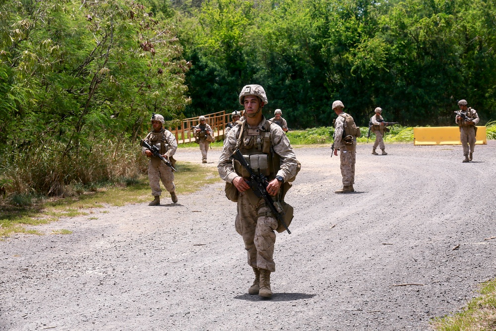 Welcome to the Jungle | Marines train for jungle warfare