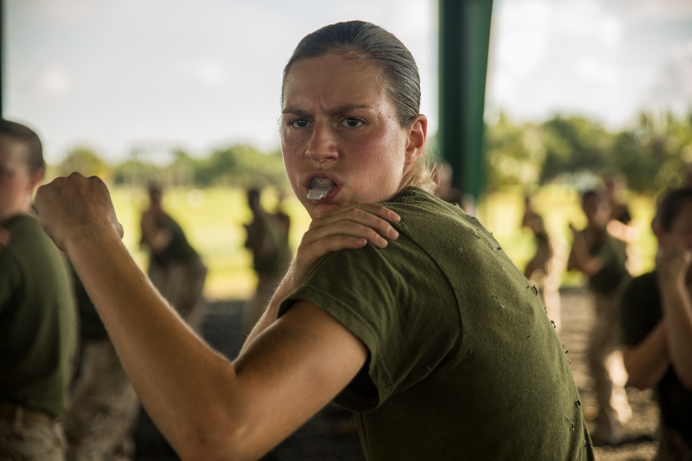 Marine recruits build self-confidence through martial arts training on Parris Island