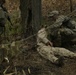 US Army Ranger Course Assessment