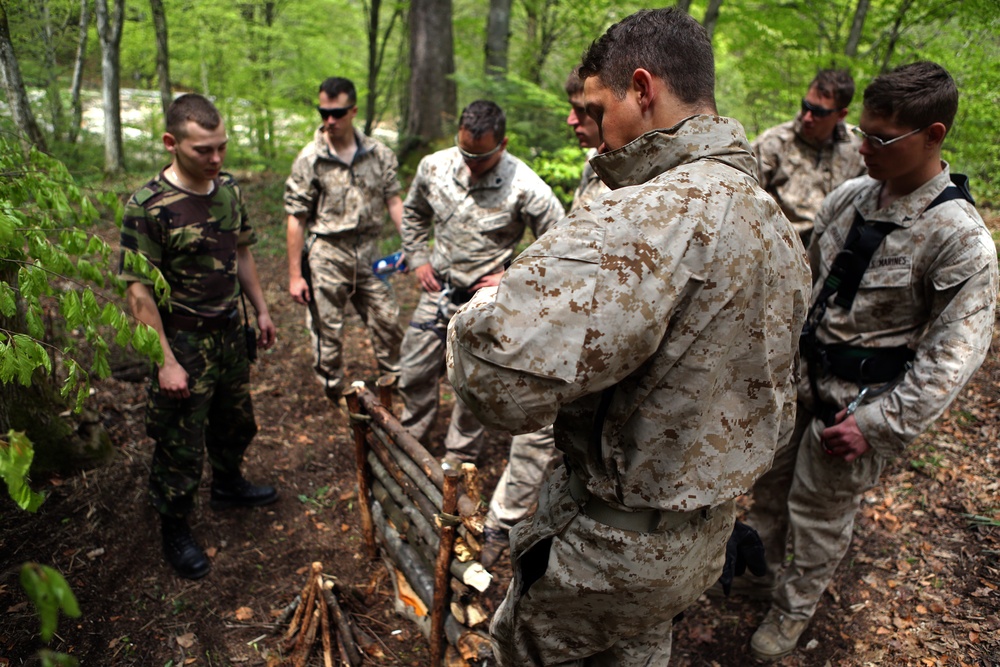 US Marines, British, Romanian Forces kick off mountain operations