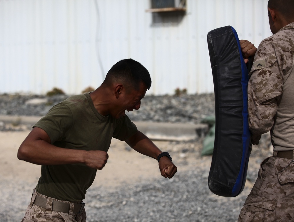 U.S. Marines Learn Nonlethal Weapons Techniques