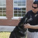 A day in the life of a military working dog