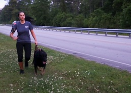 A day in the life of a military working dog