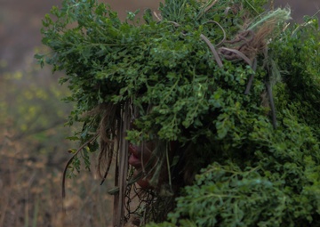 1/7 Attend Pre-Scout Sniper Course