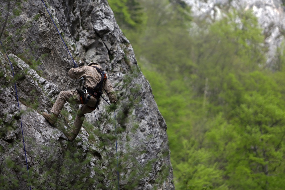 Exercise Platinum Lynx: Mountain Training