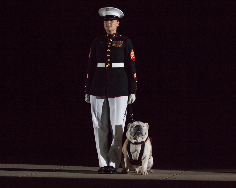 Evening Parade