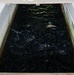 Fort’s Fish Nursery