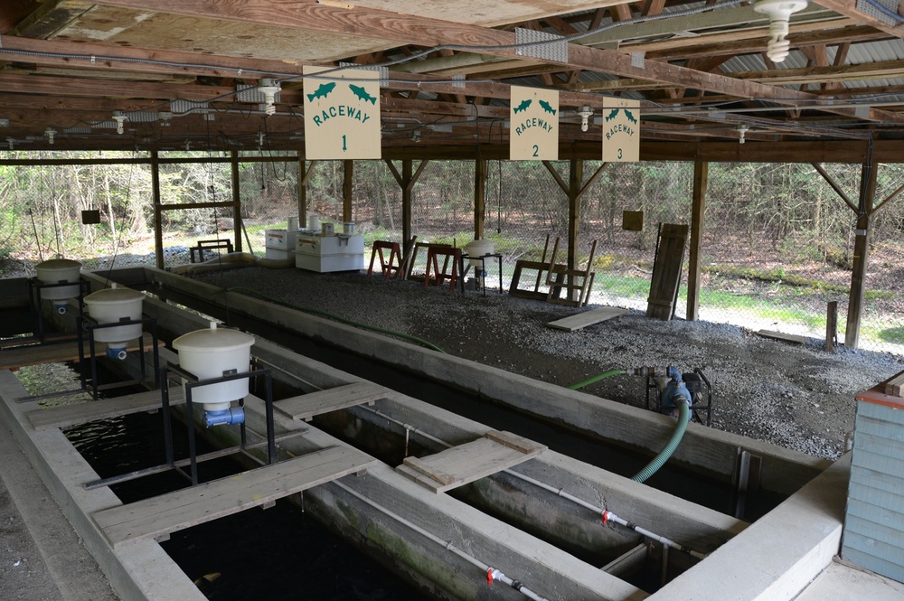 Fort’s Fish Nursery