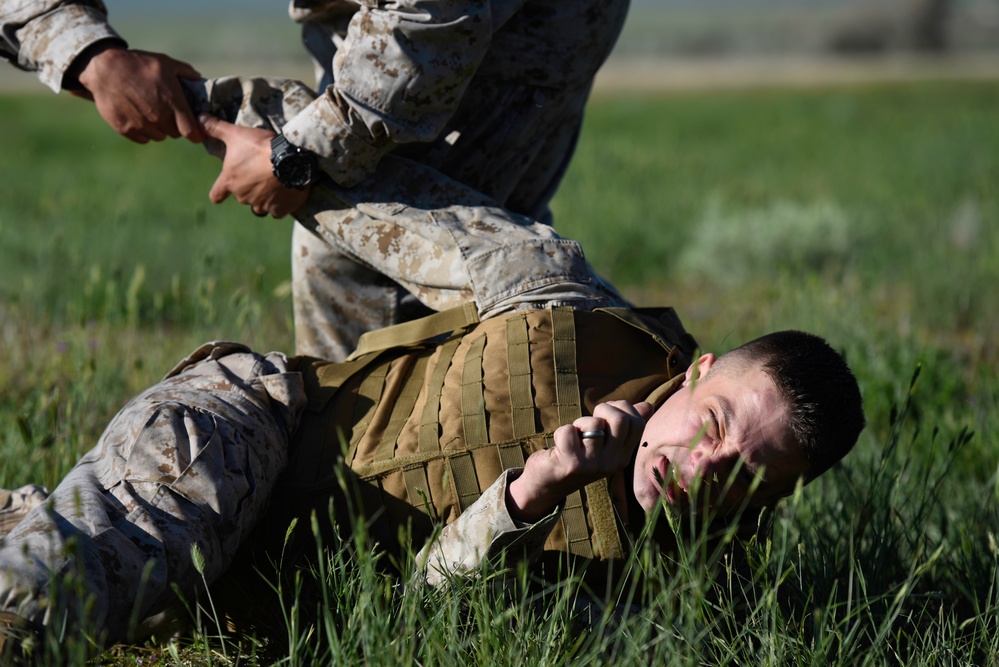 Two military personnel in MARPAT (Marine pattern) camouflage uniforms are engaged in what appears to be a combatives or martial arts training exercise on a grassy field. One service member is on the ground while the other applies a control technique, consistent with military close-quarters combat training. Both individuals are wearing standard-issue tactical gear including a plate carrier vest.