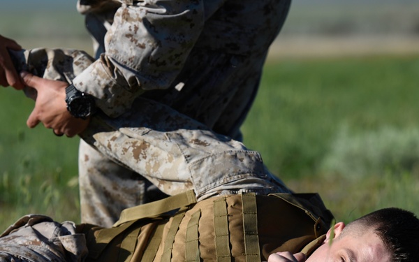 Two military personnel in MARPAT (Marine pattern) camouflage uniforms are engaged in what appears to be a combatives or martial arts training exercise on a grassy field. One service member is on the ground while the other applies a control technique, consistent with military close-quarters combat training. Both individuals are wearing standard-issue tactical gear including a plate carrier vest.