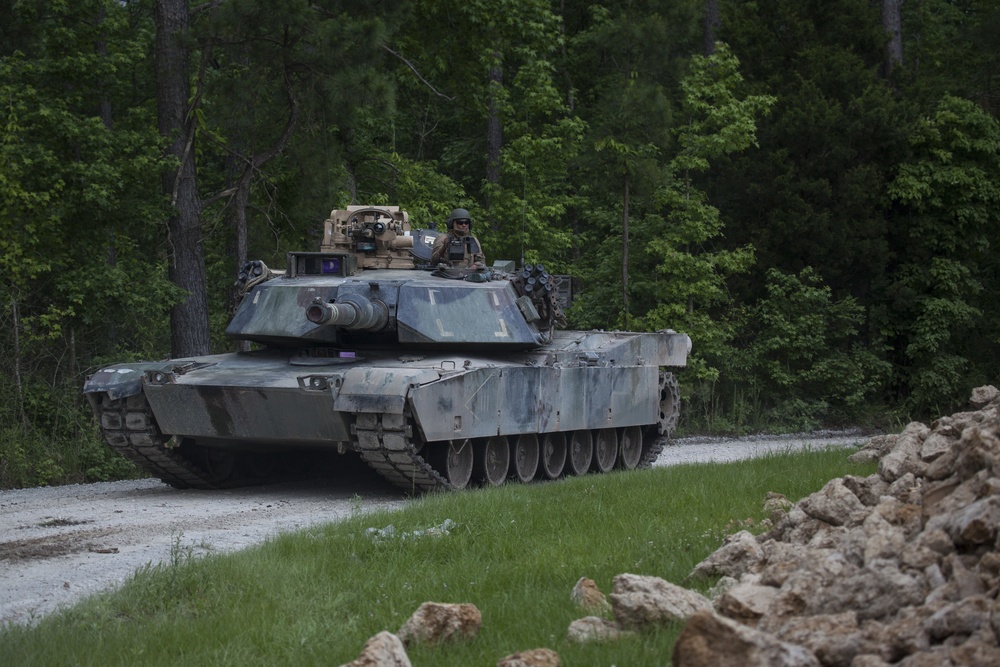 2D CEB FEX