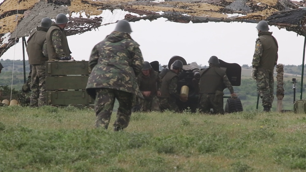 NATO Allies conduct Platinum Eagle