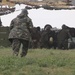 NATO Allies conduct Platinum Eagle