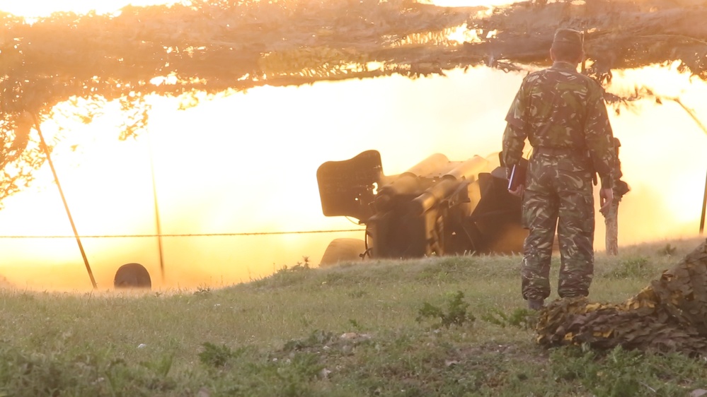 NATO Allies conduct Platinum Eagle