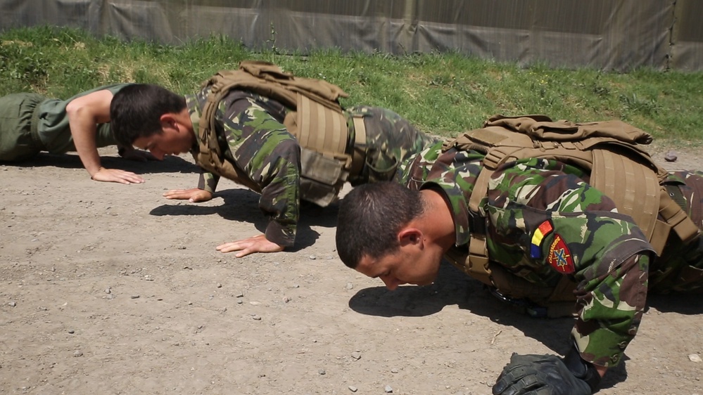 NATO Allies conduct Platinum Eagle
