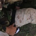 NATO Allies conduct Platinum Eagle