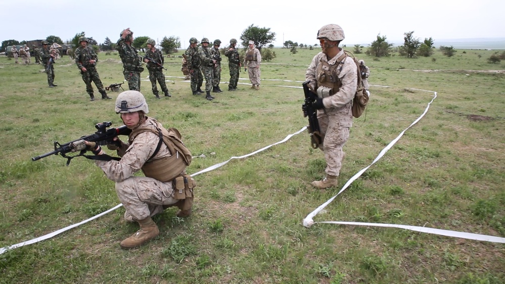 NATO Allies conduct Platinum Eagle