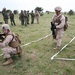 NATO Allies conduct Platinum Eagle