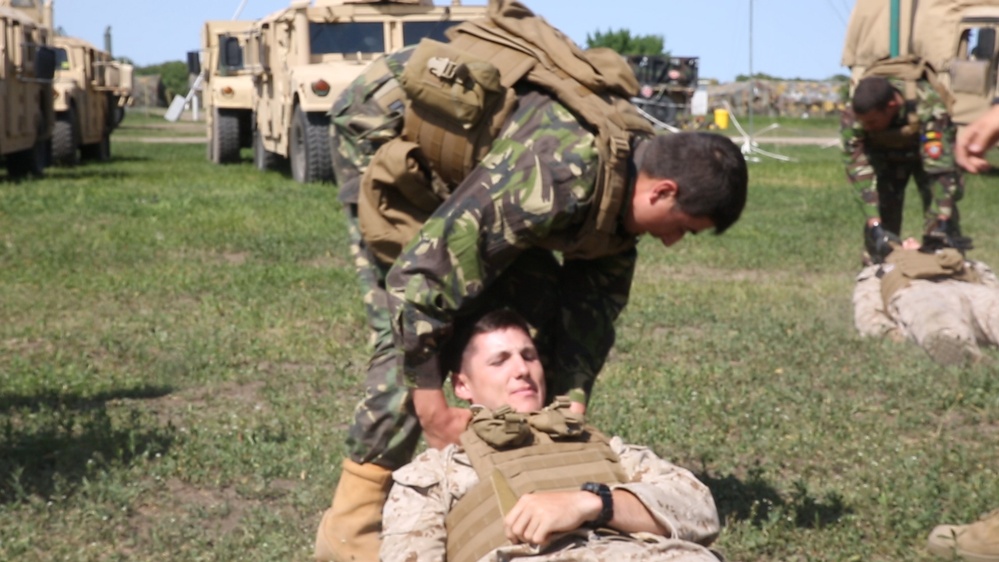 NATO Allies conduct Platinum Eagle