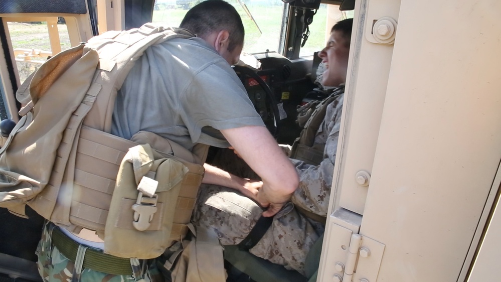 NATO Allies conduct Platinum Eagle