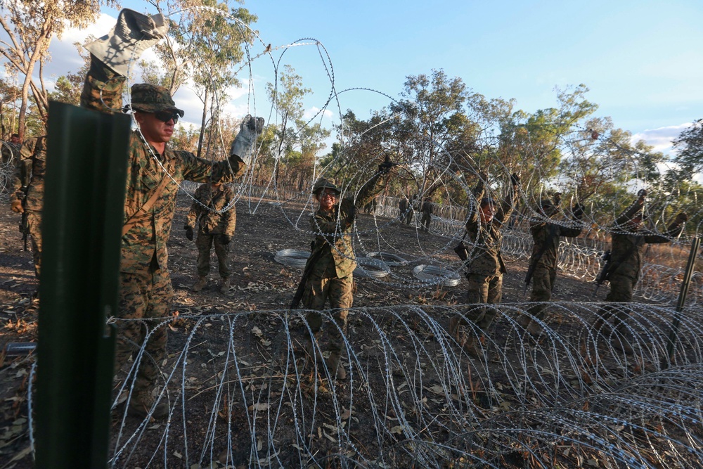 Combat Logistics Detachment 1 prepares training area for Exercise Predator Walk