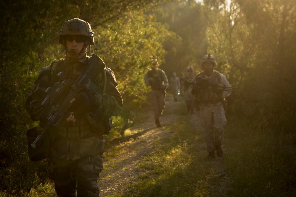 Marines, French Legionnaires Train For African Deployments