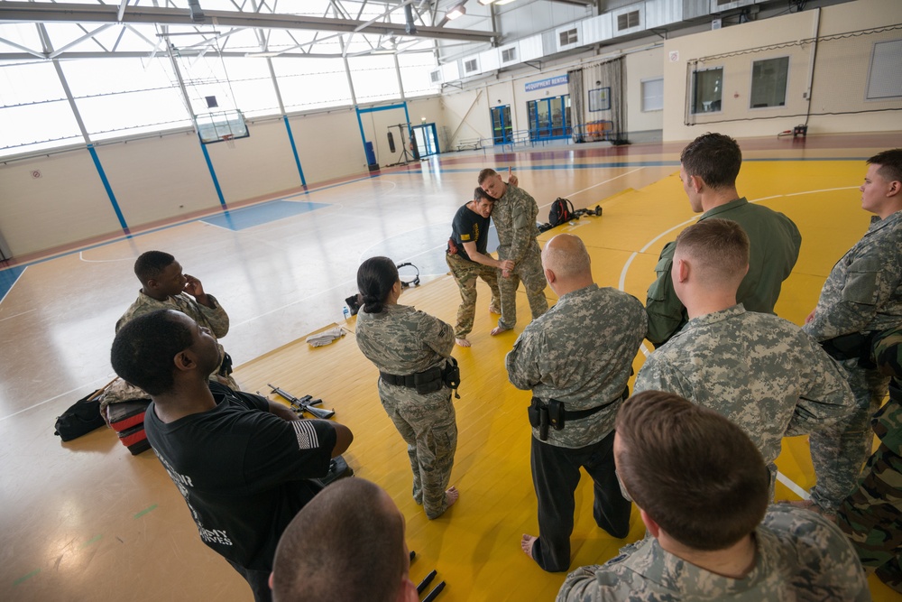 Multinational Law Enforcement Combatives