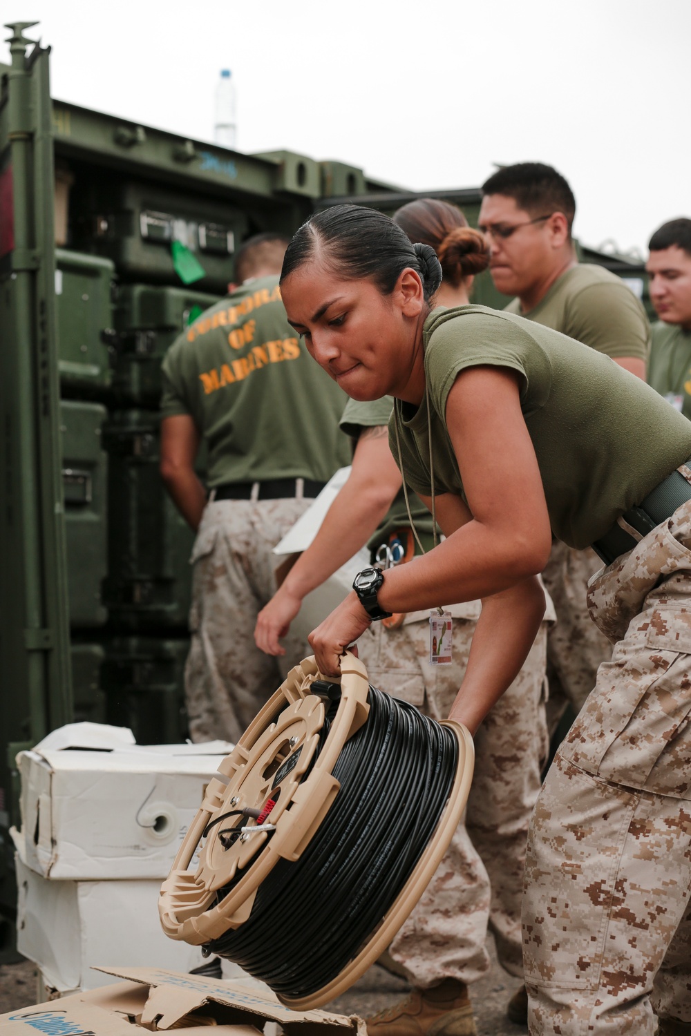 African Lion 15 COC set up