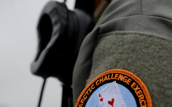 Arctic Challenge Exercise 2015