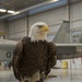 ‘Challenger’ visits Nellis Air Force Base Airmen, families