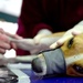 Veterinary clinic held in Betio, Kiribati