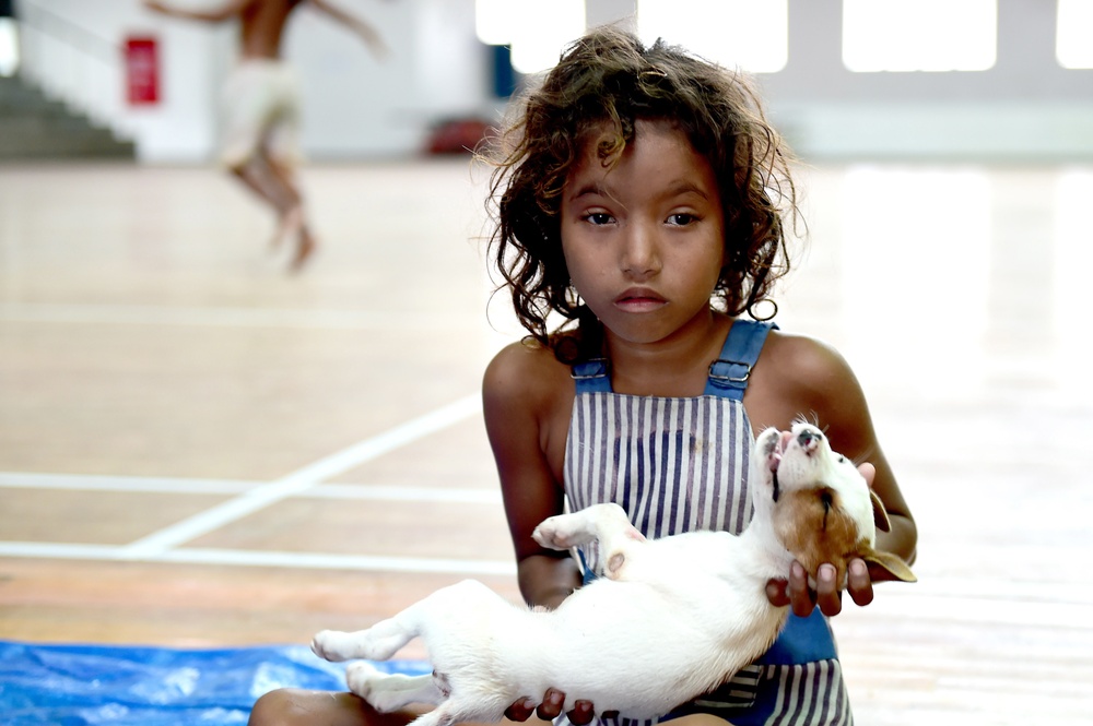 Veterinary clinic held In Betio, Kiribati