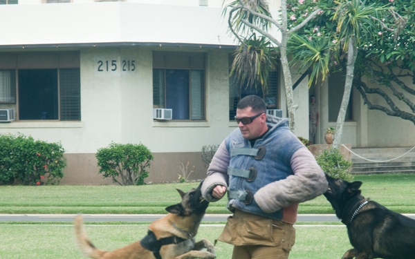 Fighting crime a bite at a time