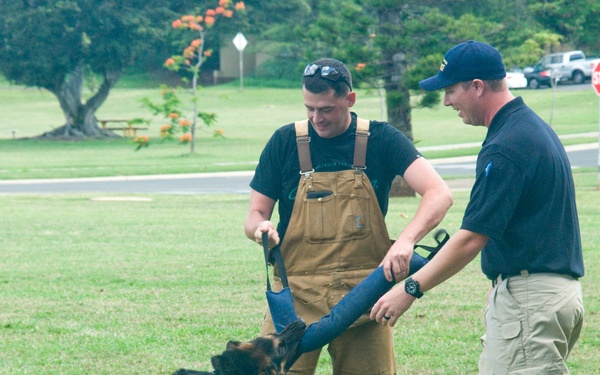 Fighting crime a bite at a time