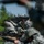Rifle qualification range
