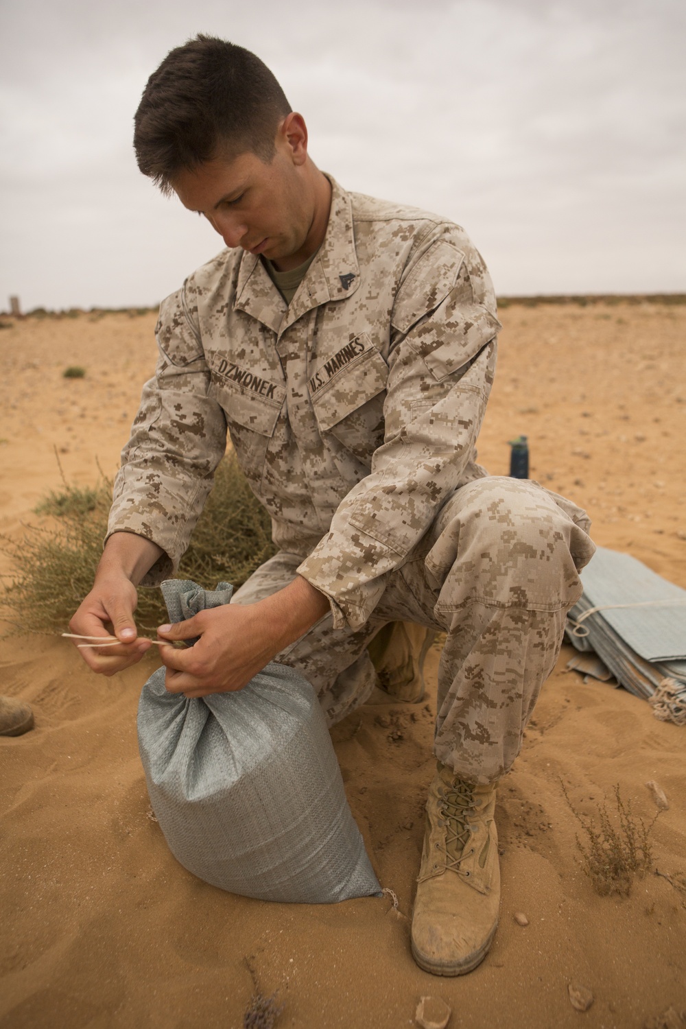 Exercise African Lion 15, Partnership explosive training